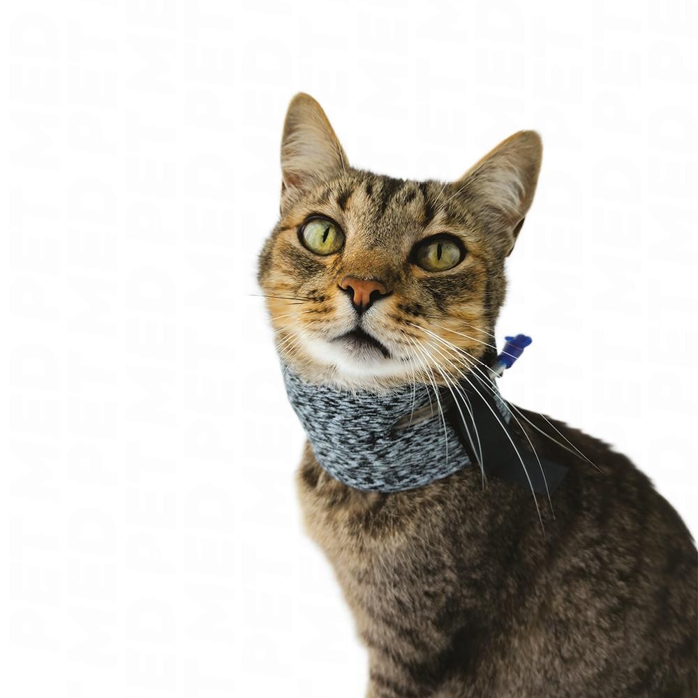 [SER01] Colar Protetor para Sonda Esofágica de Gatos (01, ROSA)
