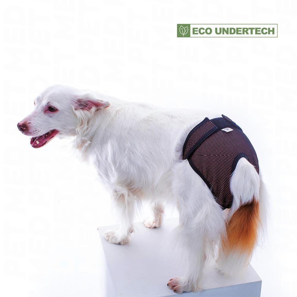 [PAFR-0] Protetor Absorvente para Cachorros Fêmea (0, ROSA)