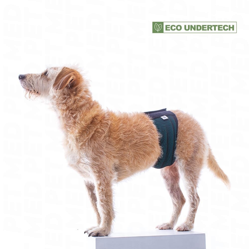 [PAMV-0] Protetor Absorvente para Cães Machos (0)