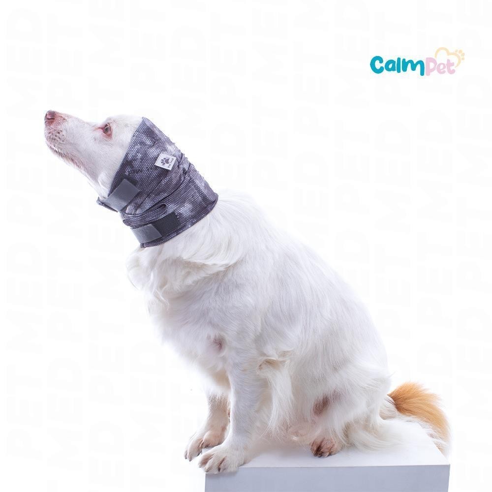 [OTODLIGHT-1] Oto Calm Protector (1)