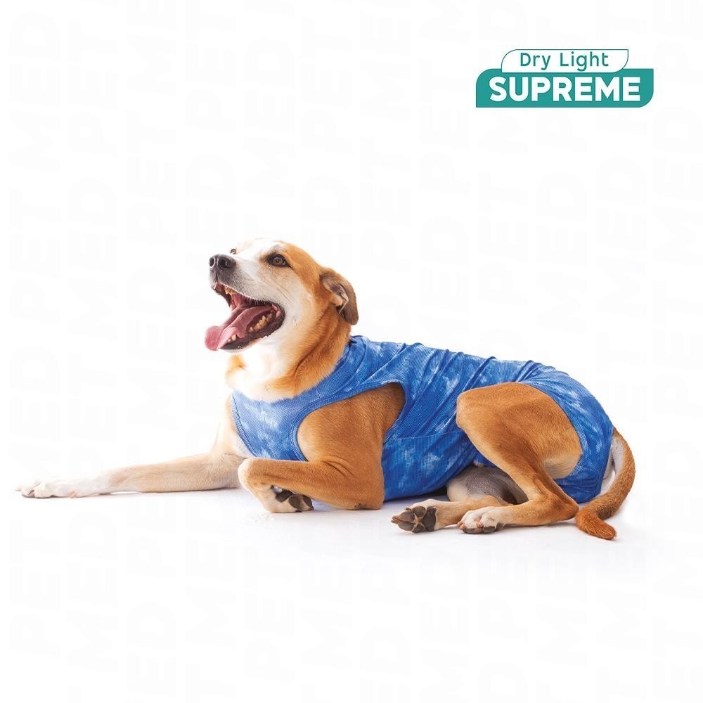 [0CDLS] Roupa Protetora e Pós-Cirúrgica para Castração de Cachorros Macho Supreme (0)