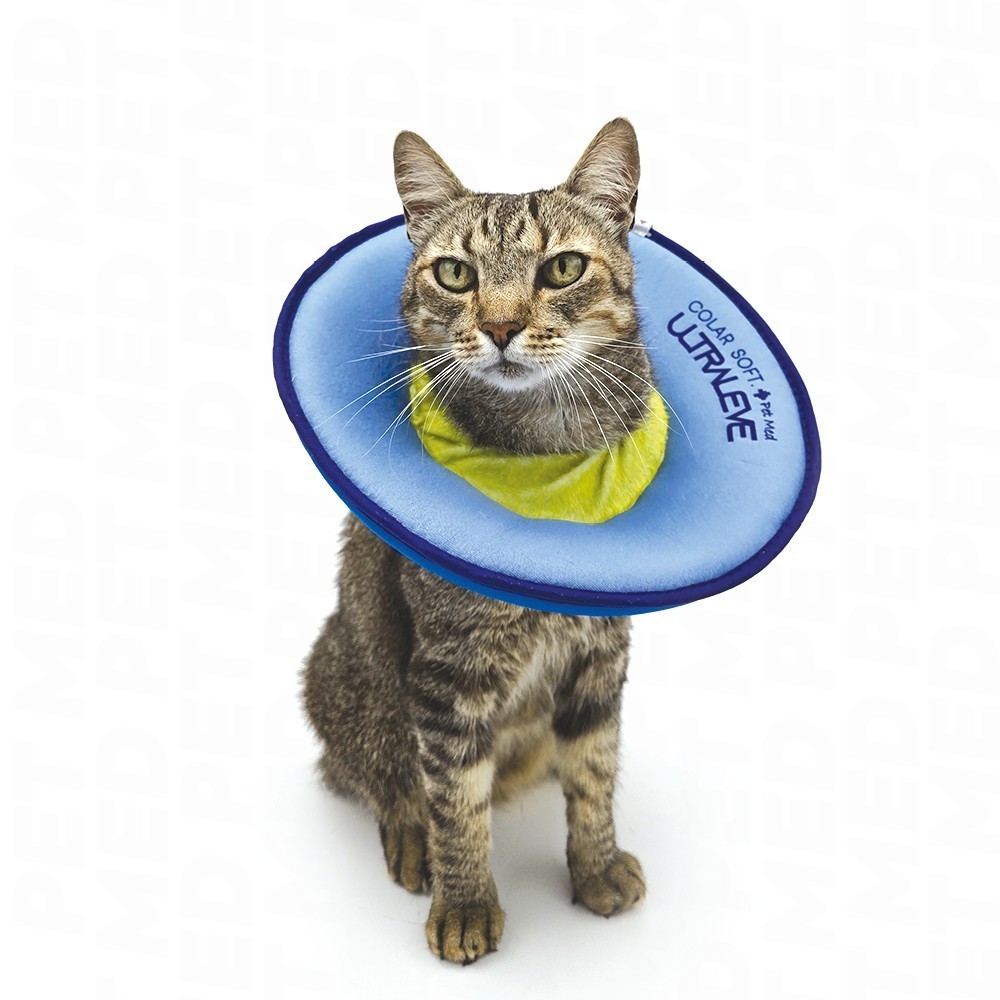 [CSUGAL-PP] Colar Soft Ultraleve para Gatos (PP, AZUL E LIMA)